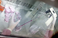 Cord Blood Cryosource Cord Blood Cryosource