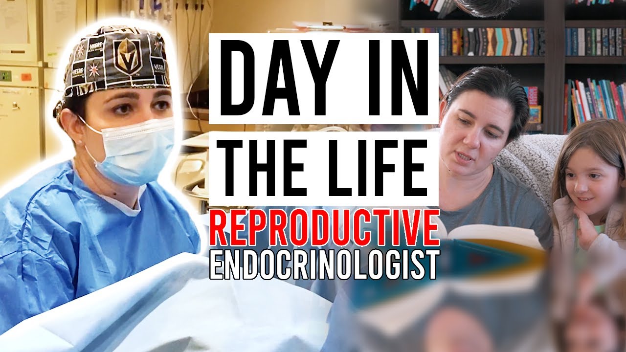 Check out a new YouTube video to see a day in the life of a fertility doctor