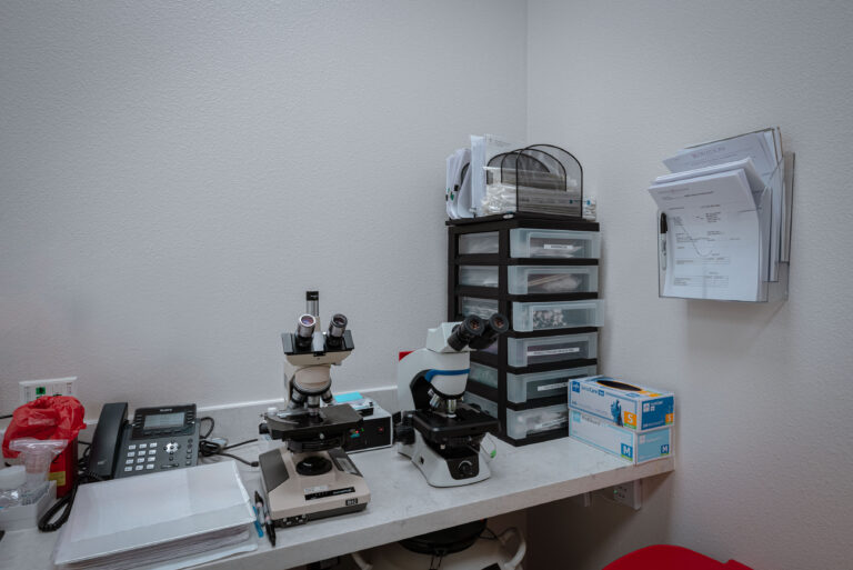 Microscopes in the Andrology laboratory.