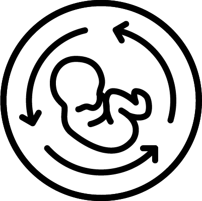 FCLV 2025 Baby Icon
