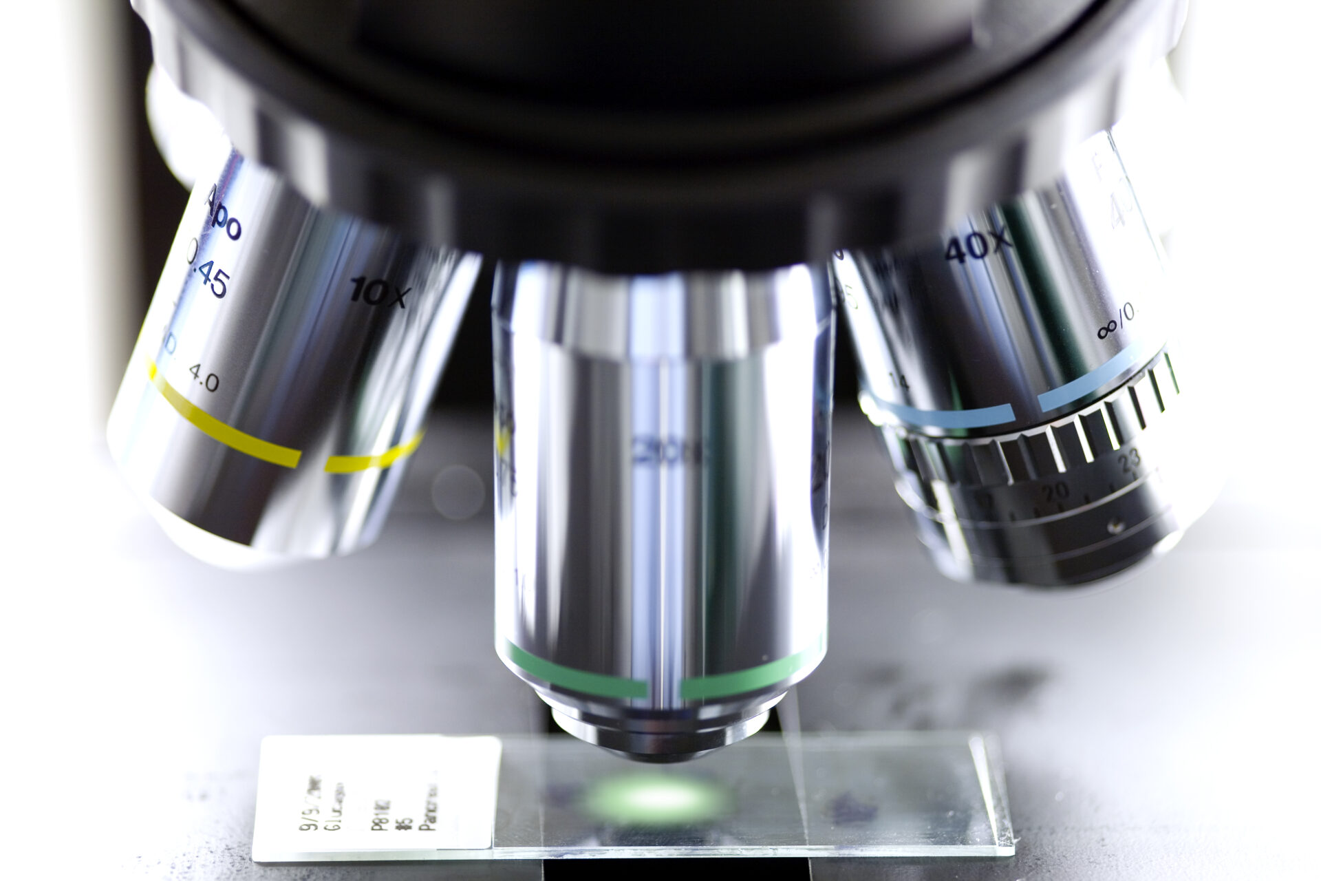 Our fertility research about infant health made waves at PCRS 2025