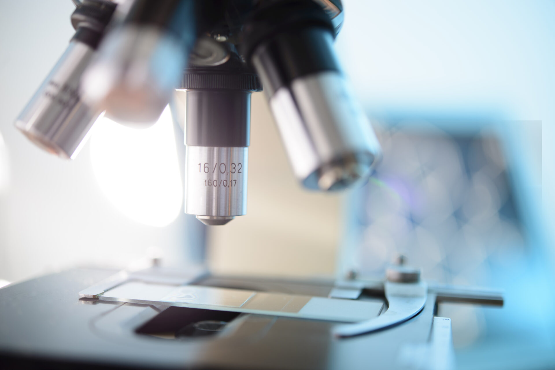 National kudos for our influential fertility research at FCLV