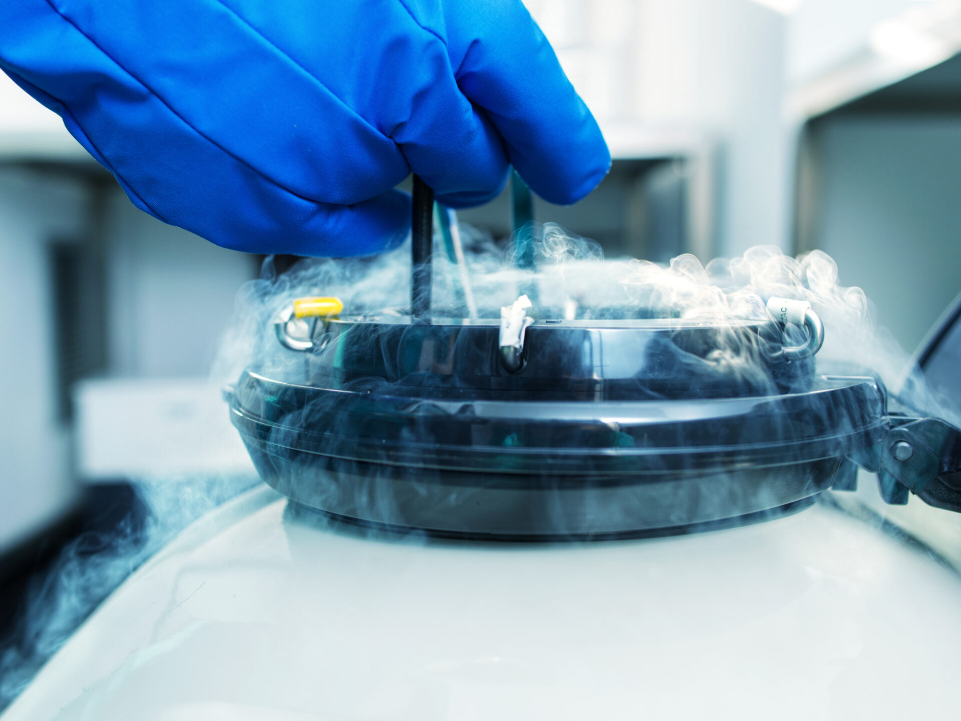 A new record answers the question, “How long can you store frozen embryos?”