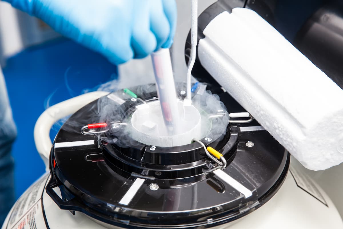 Cryopreservation of eggs, sperm, or embryos stored in liquid nitrogen vapor in a fertility lab.